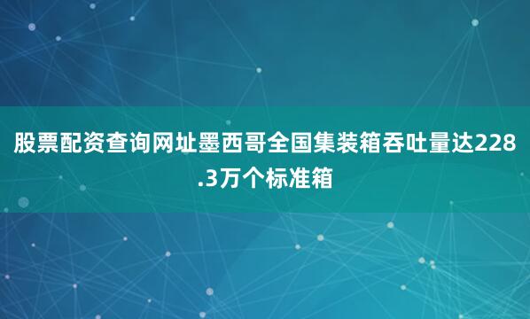股票配资查询网址墨西哥全国集装箱吞吐量达228.3万个标准箱